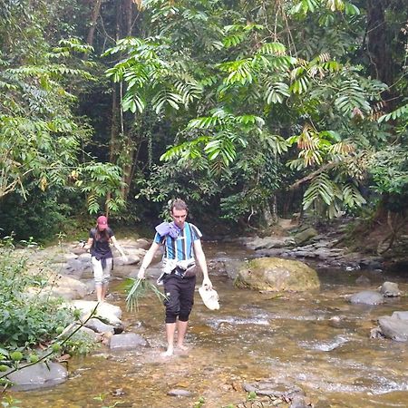Pongo Guest House & Jungle Trekking 부킷 라왕 외부 사진