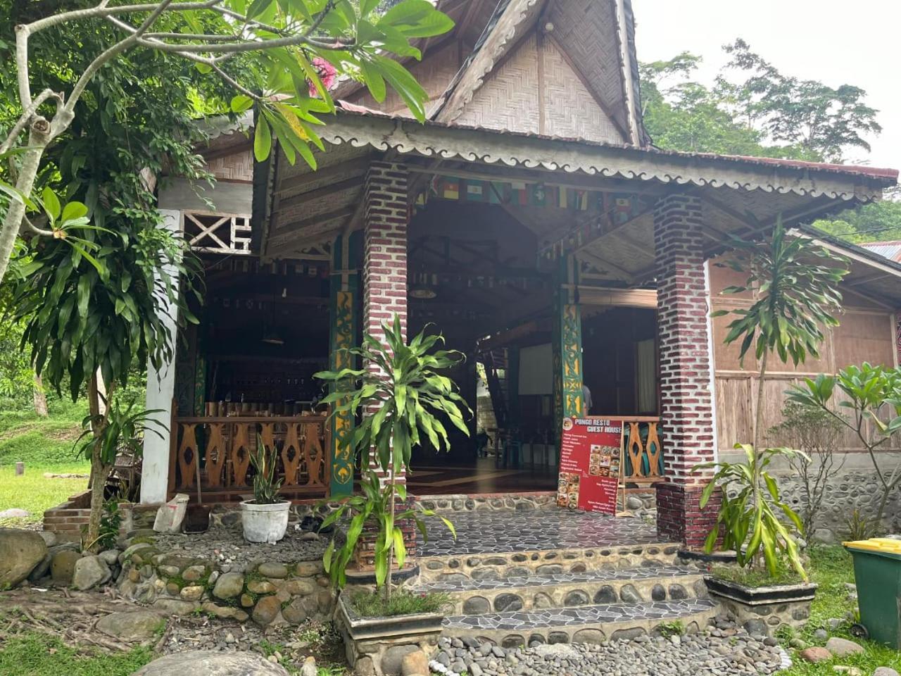 Pongo Guest House & Jungle Trekking 부킷 라왕 외부 사진