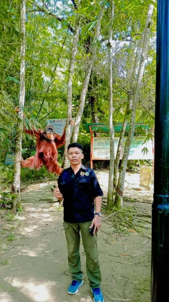 Pongo Guest House & Jungle Trekking 부킷 라왕 외부 사진