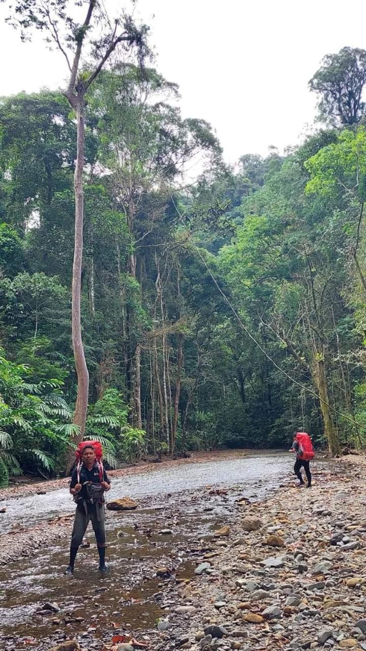 Pongo Guest House & Jungle Trekking 부킷 라왕 외부 사진