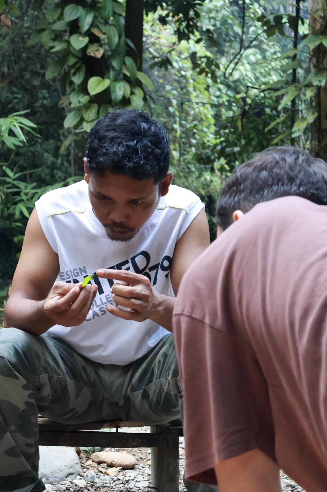 Pongo Guest House & Jungle Trekking 부킷 라왕 외부 사진
